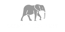 Safari & Company logo